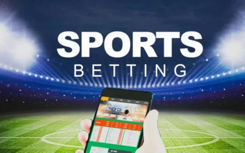 india cricket schedule​ at cricbaba featured image